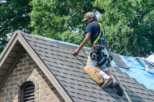 Trusted Lake Forest, IL Roofing Contractor Experts